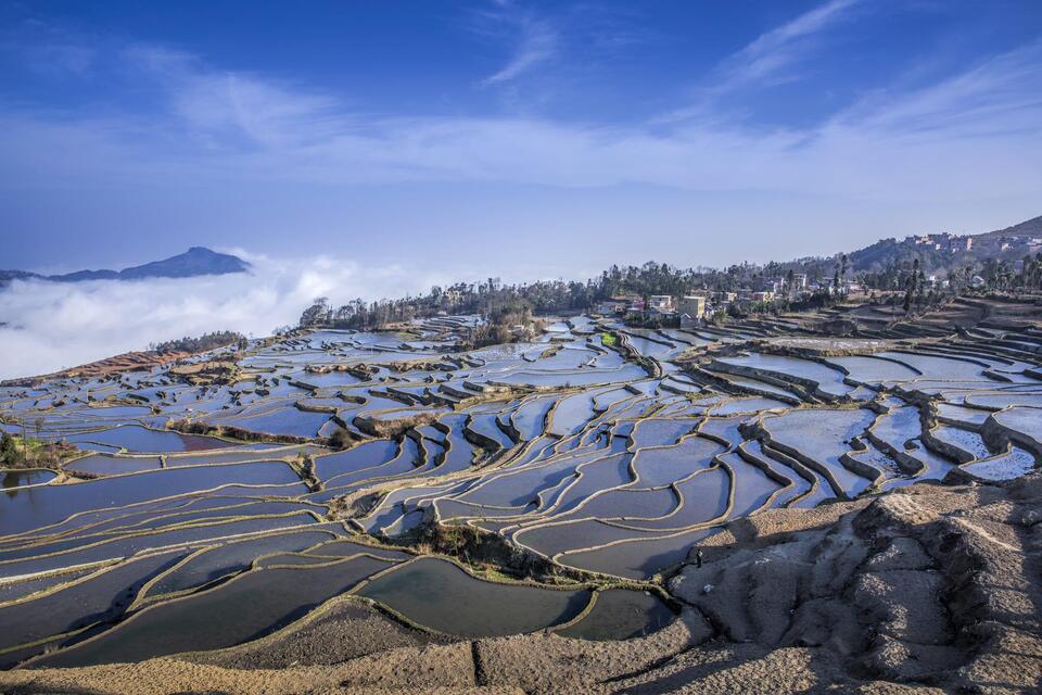 Ruộng bậc thang Nguyên Dương