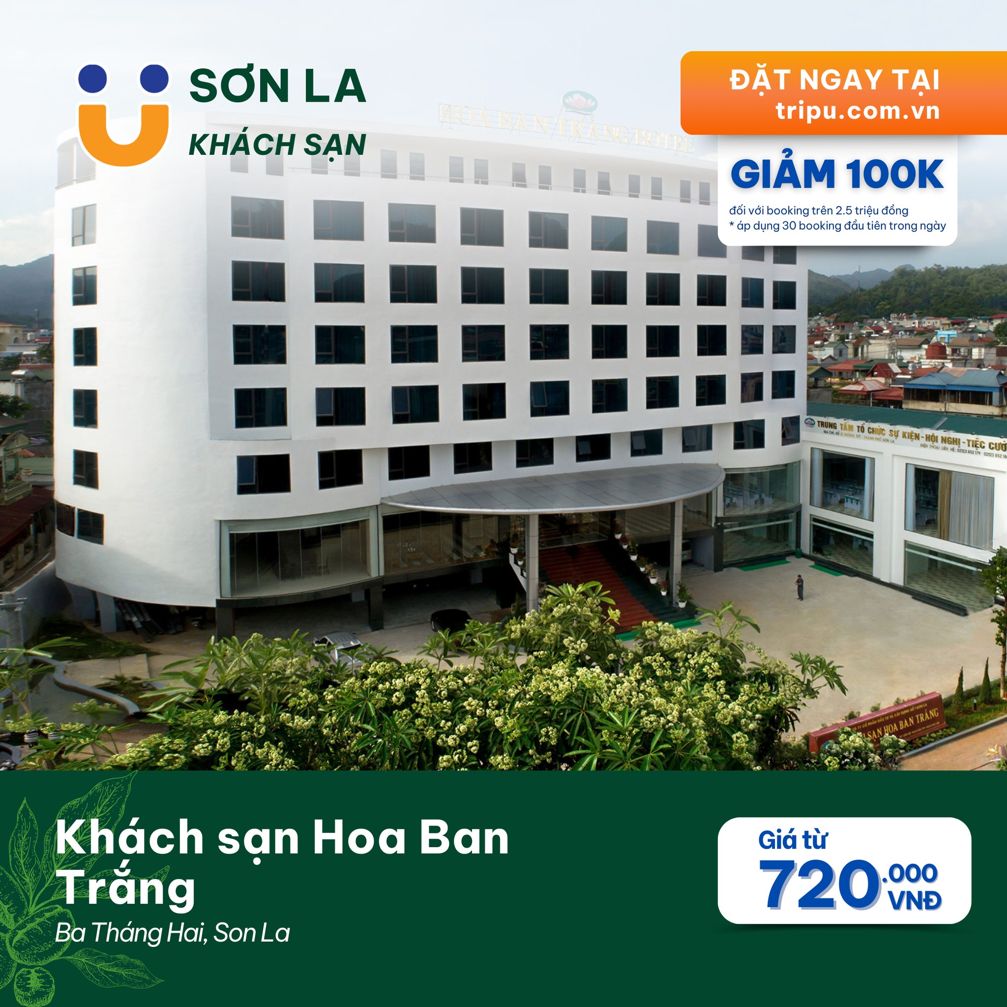 Khách sạn Hoa Ban Trắng