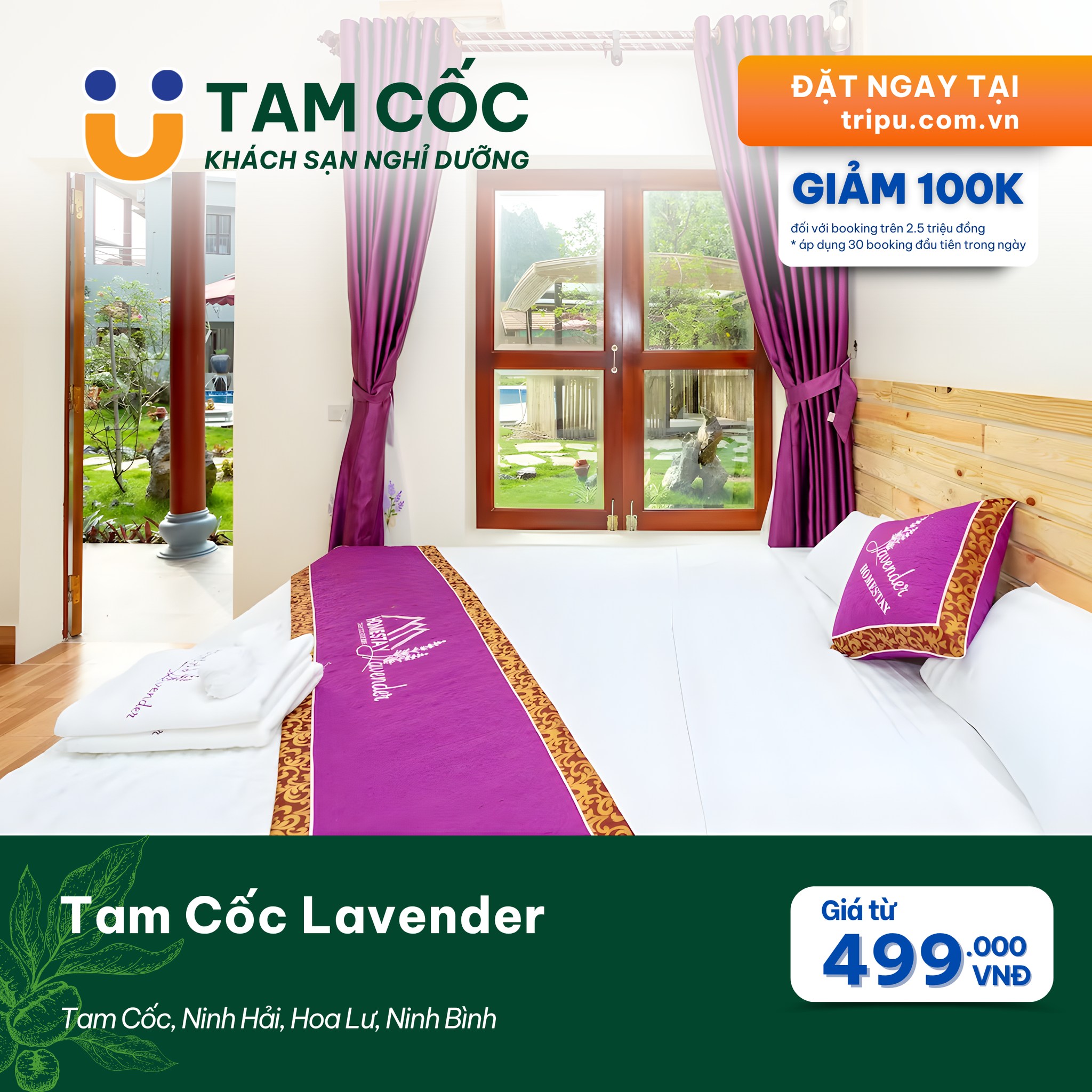 Tam Cốc Lavender