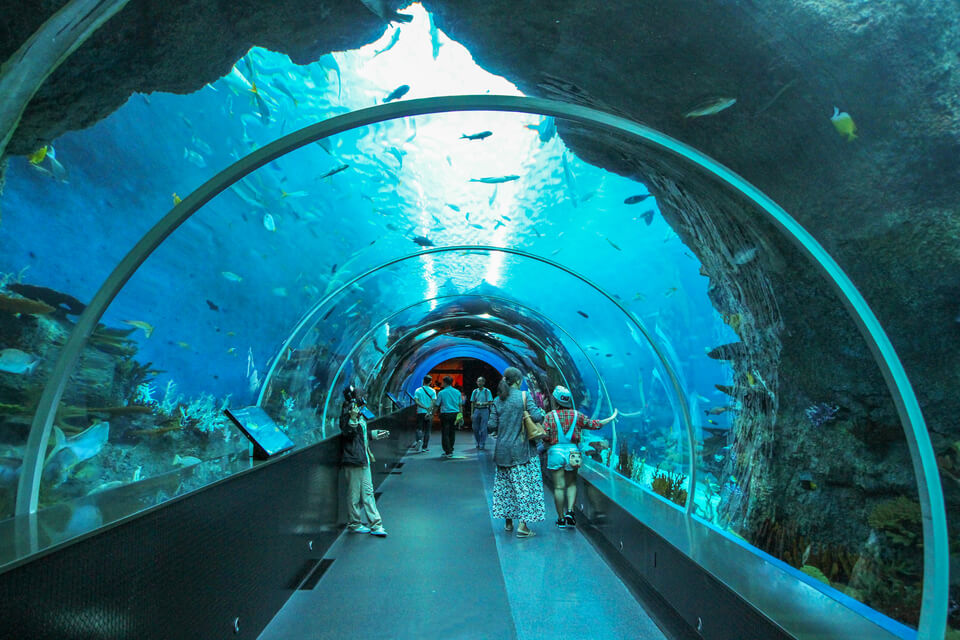 Thủy cung S.E.A Aquarium lớn nhất thế giới