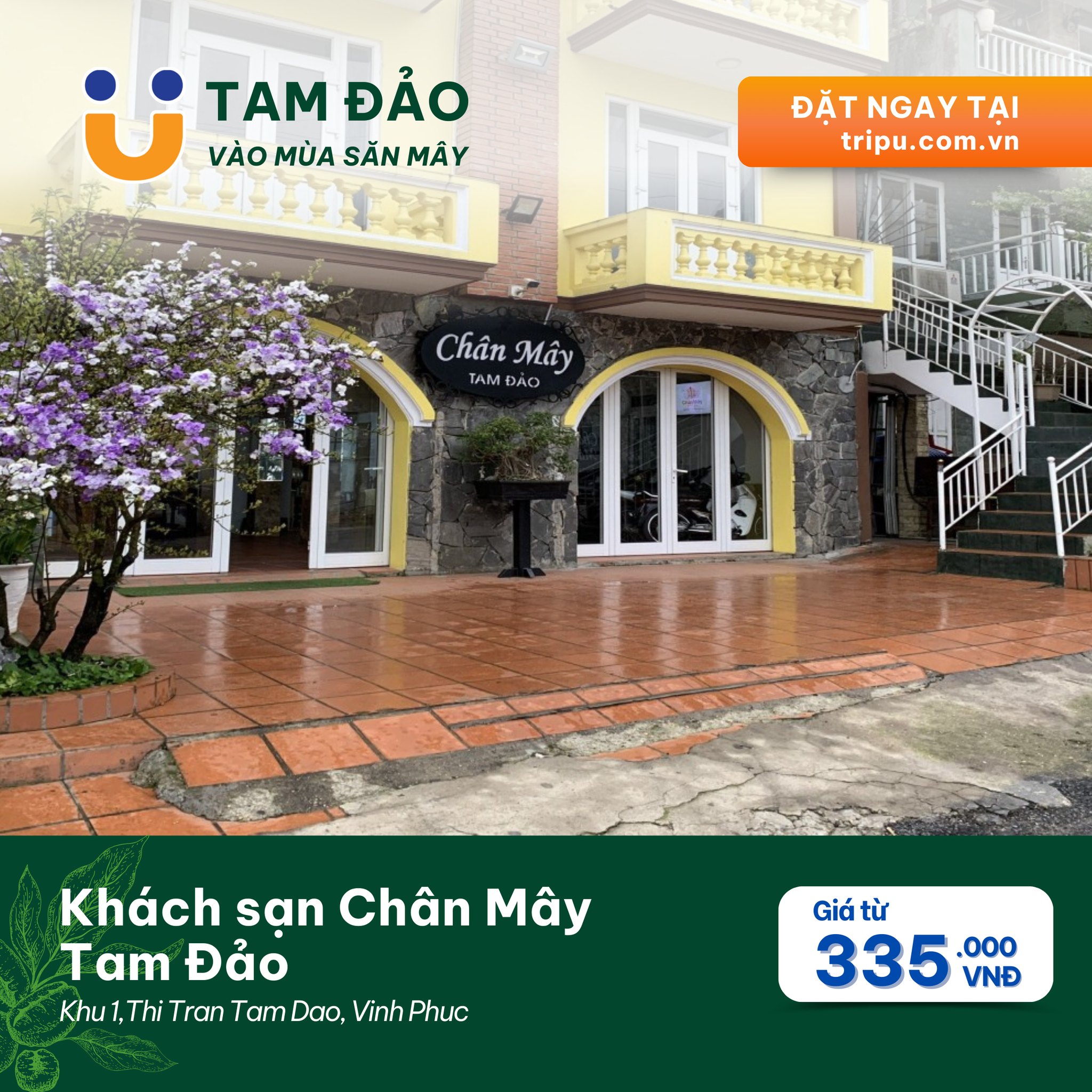 Khách sạn Chân Mây Tam Đảo