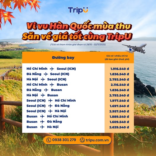 Giá vé tham khảo