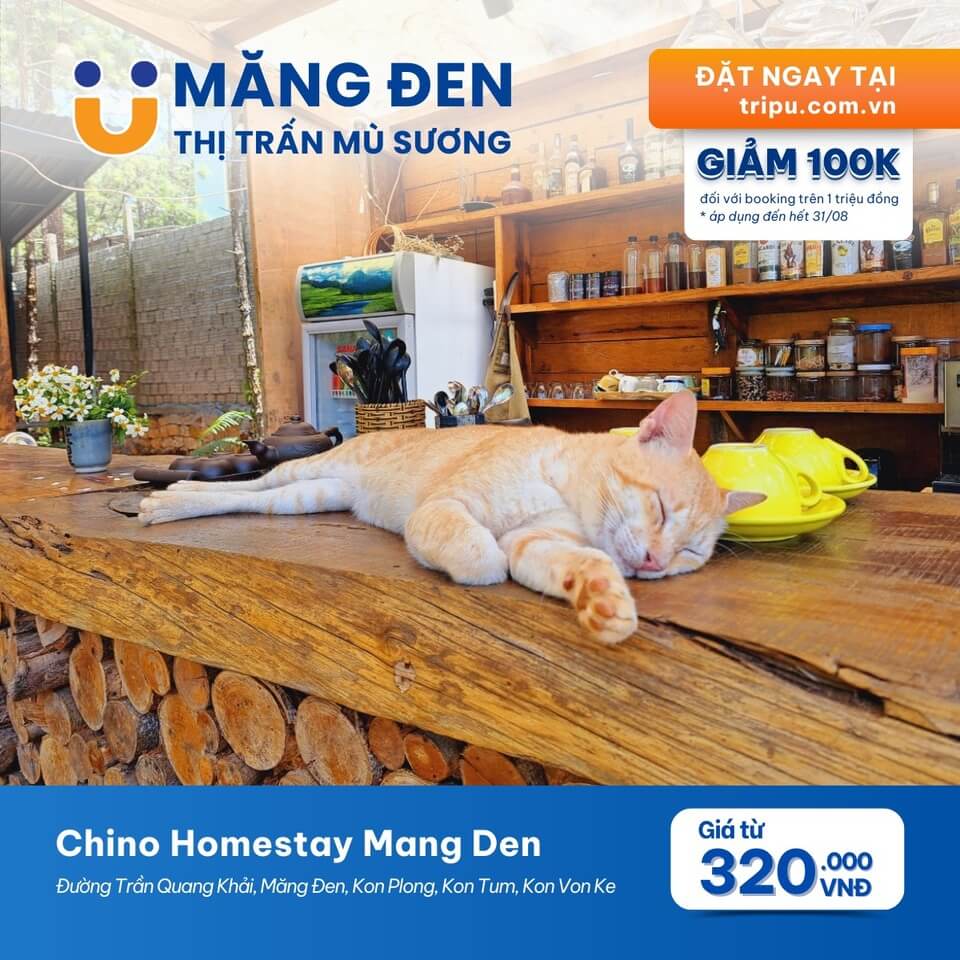 Chino Homestay Mang Den