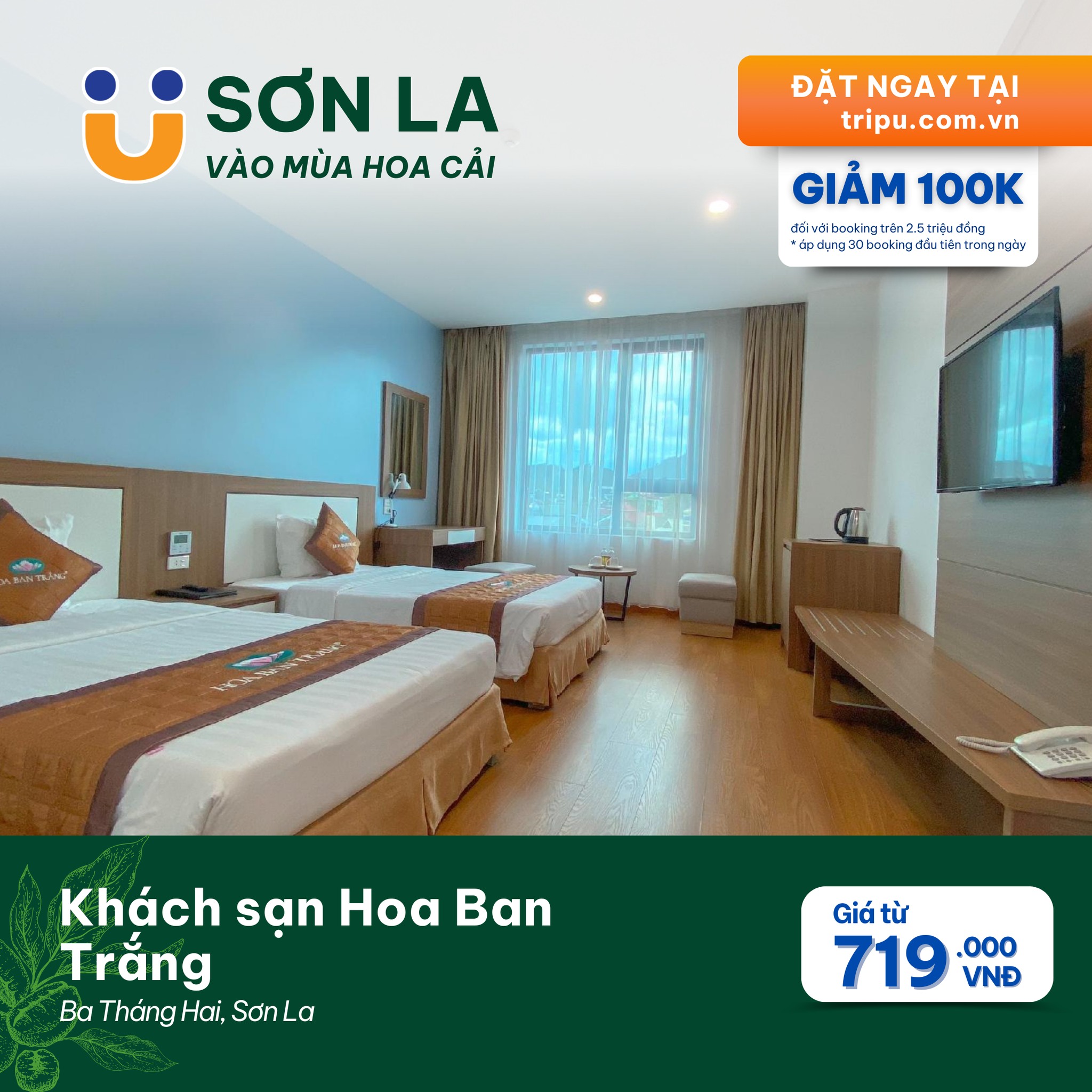 Khách sạn Hoa Ban Trắng