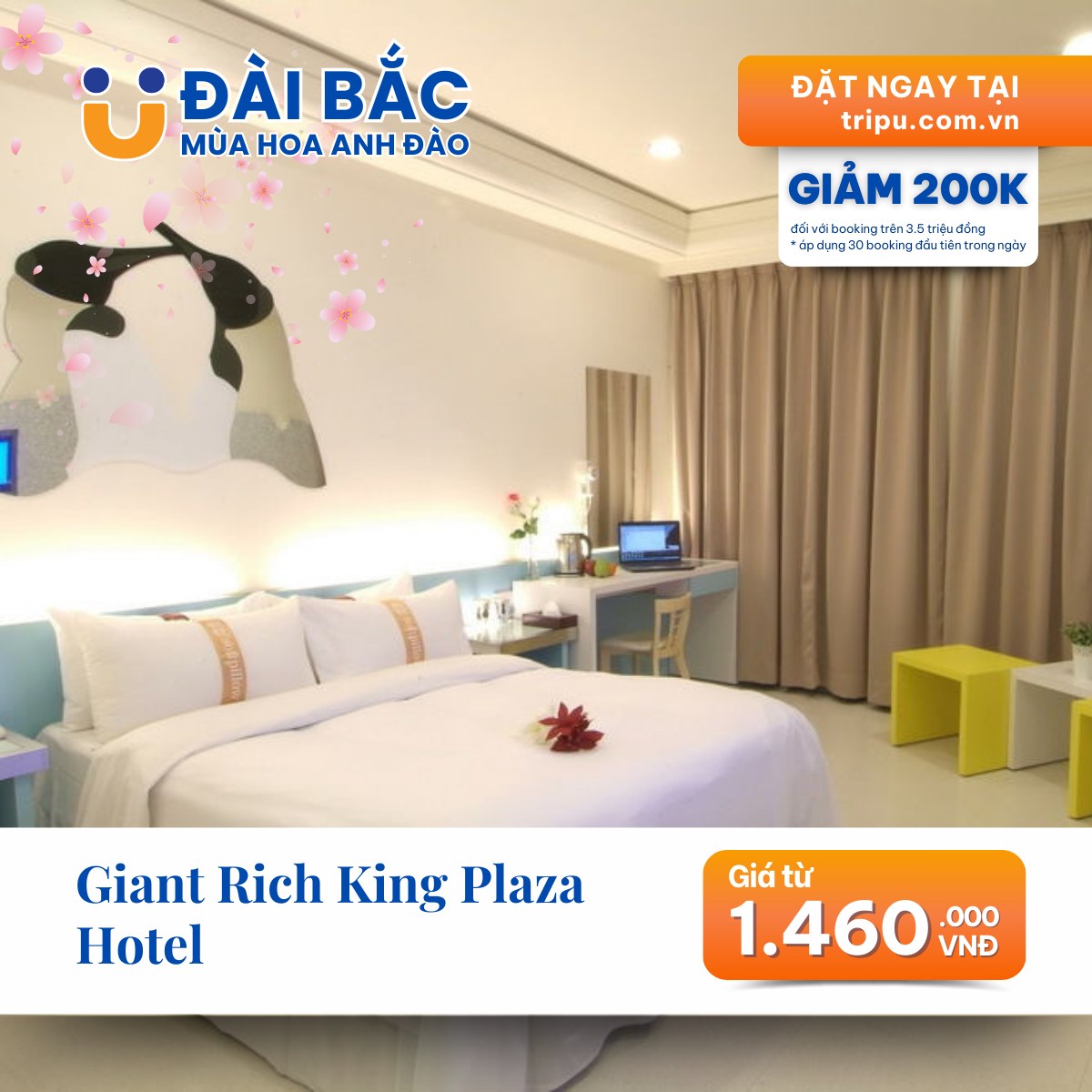 Giant Rich King Plaza Hotel