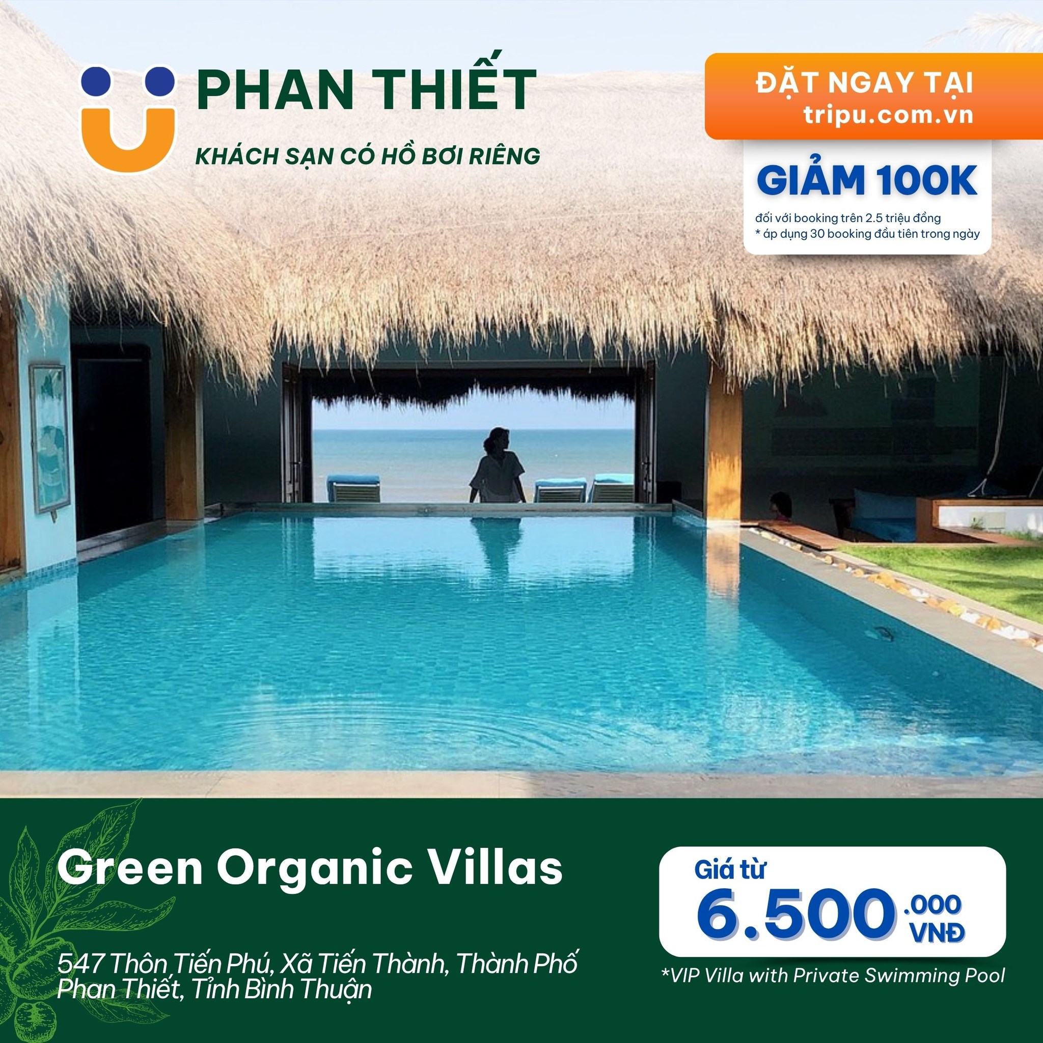 Green Organic Villas