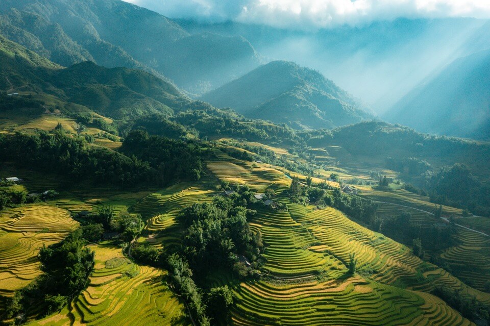 Ruộng bậc thang mùa lúa chín