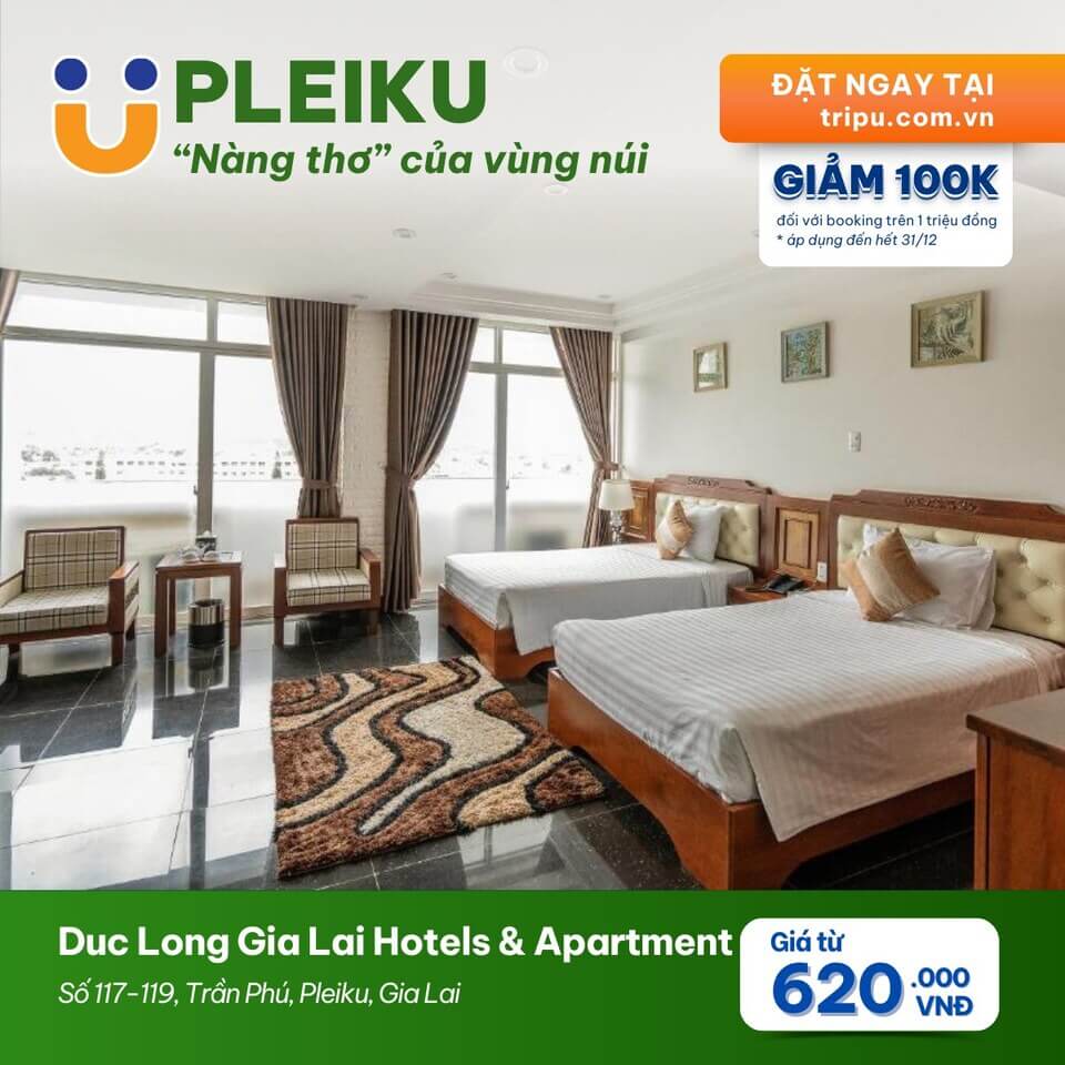 Duc Long Gia Lai Hotels & Apartment