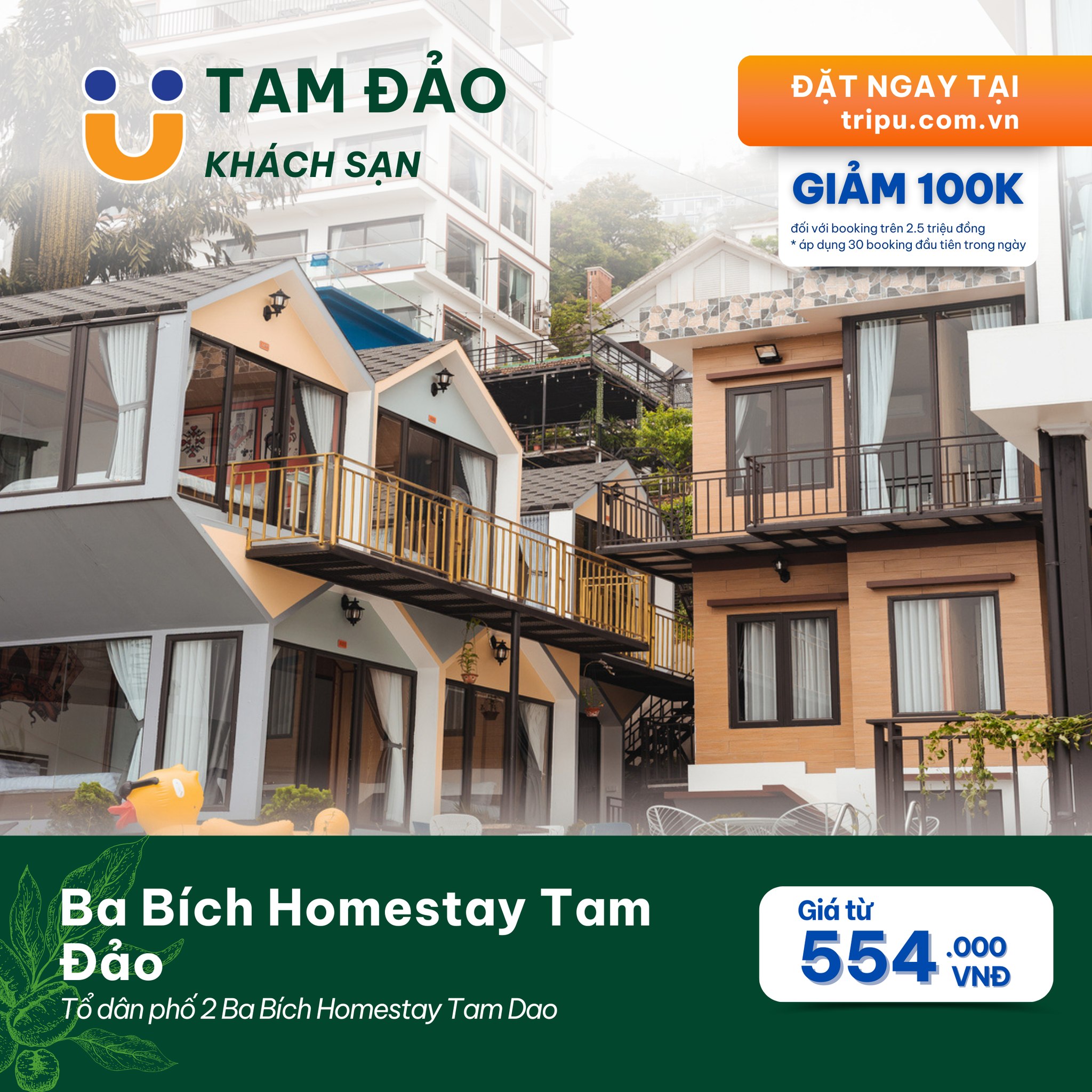 Ba Bích Homestay Tam Đảo