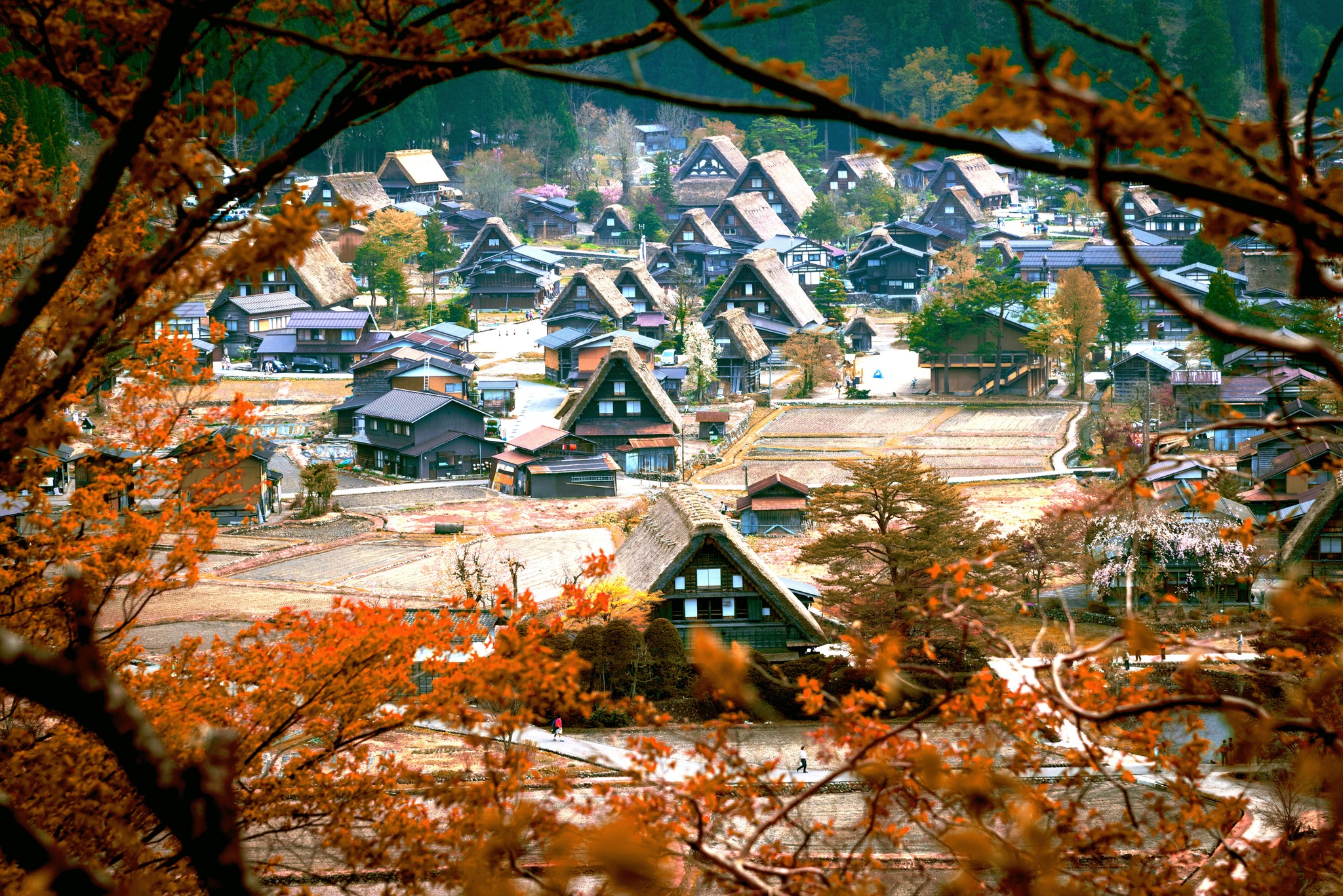 Làng cổ Shirakawago