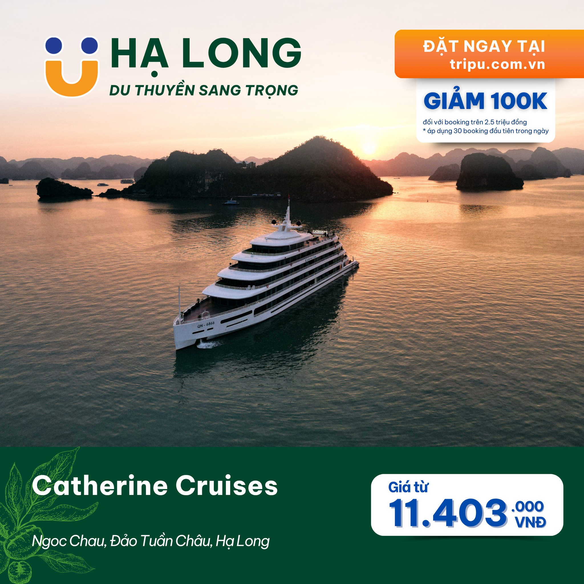 Catherine Cruises