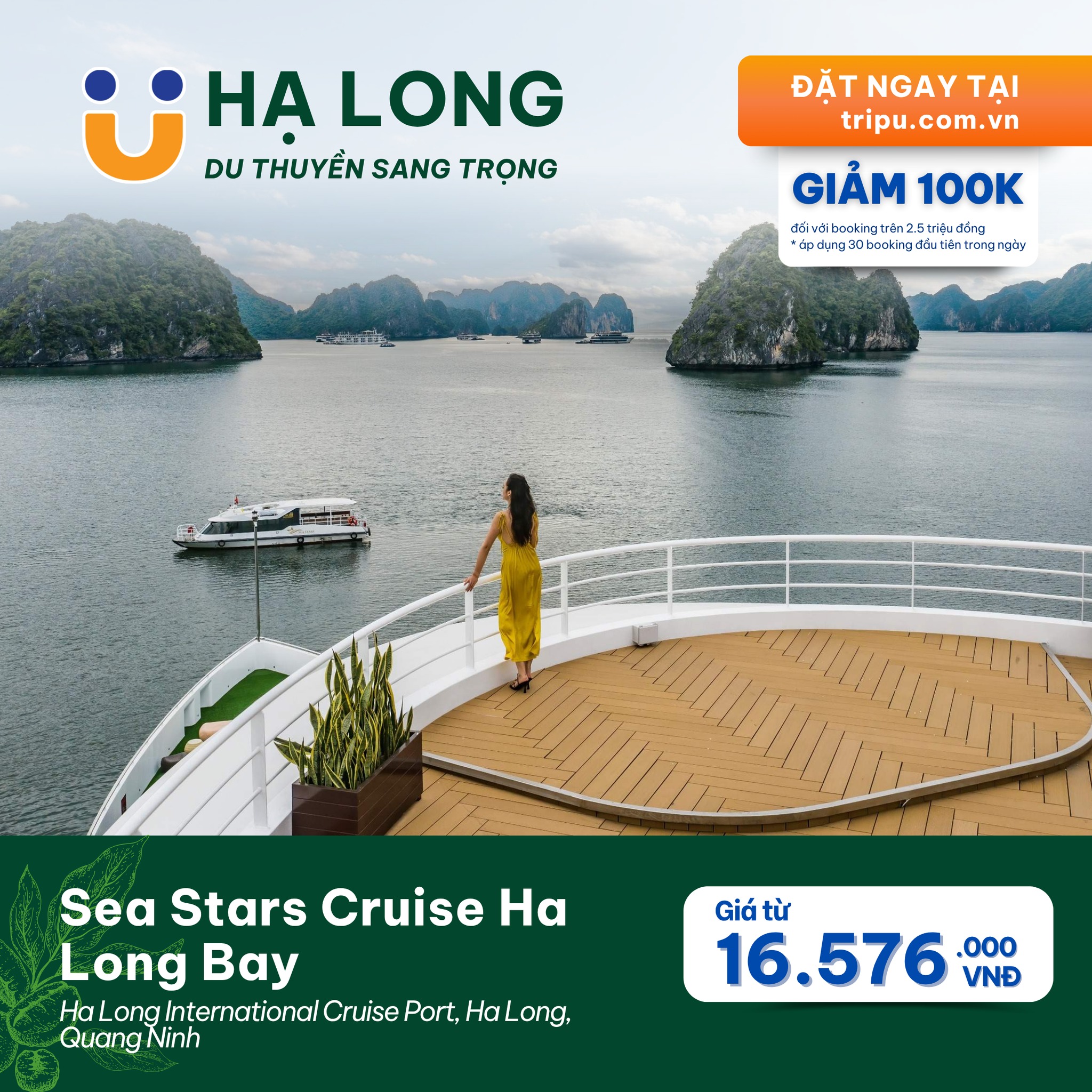 Sea Stars Cruise Ha Long Bay