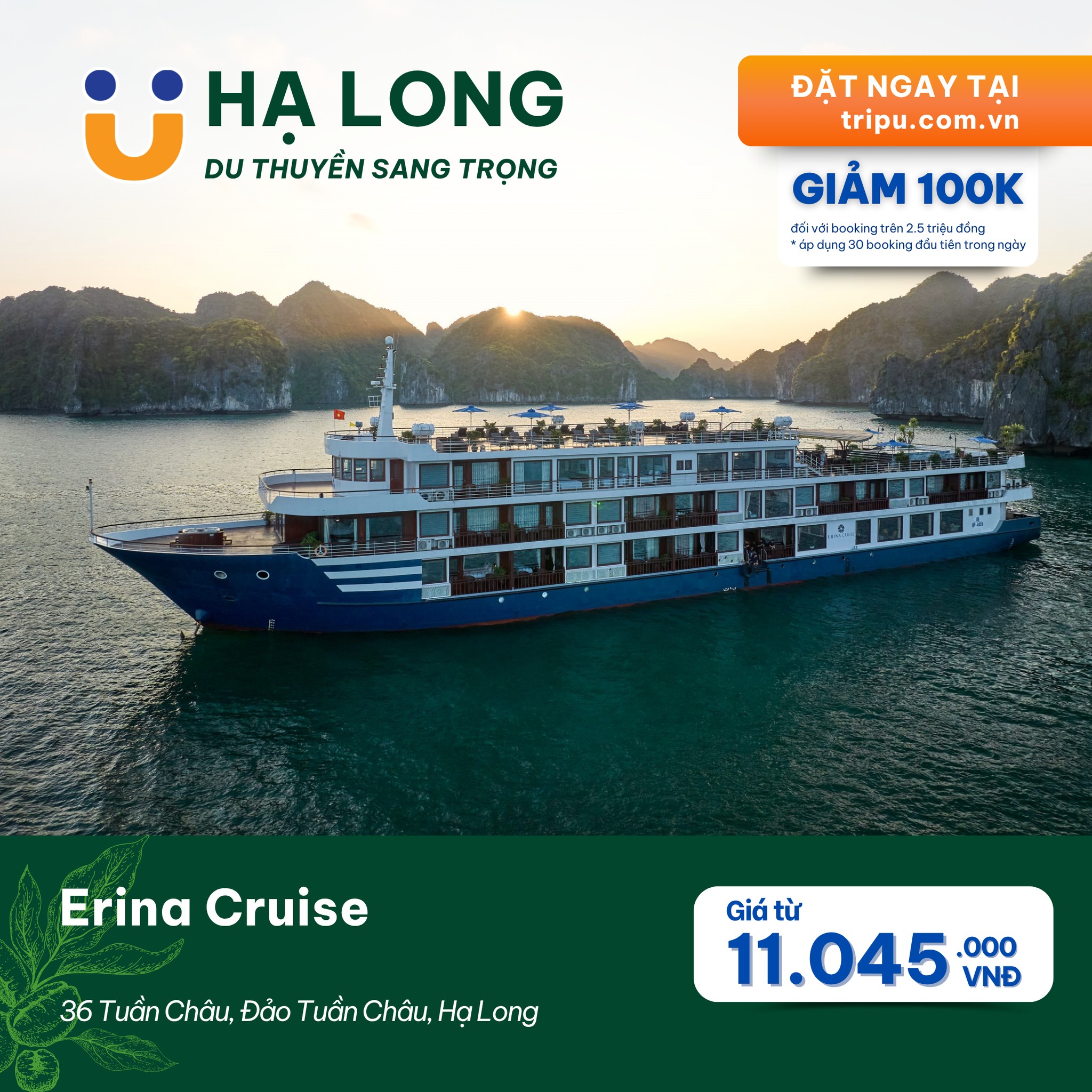ERINA CRUISE