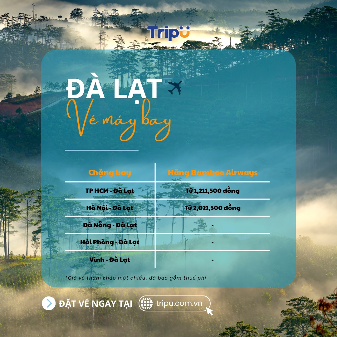 Hãng Bamboo Airways bay đến Đà Lạt