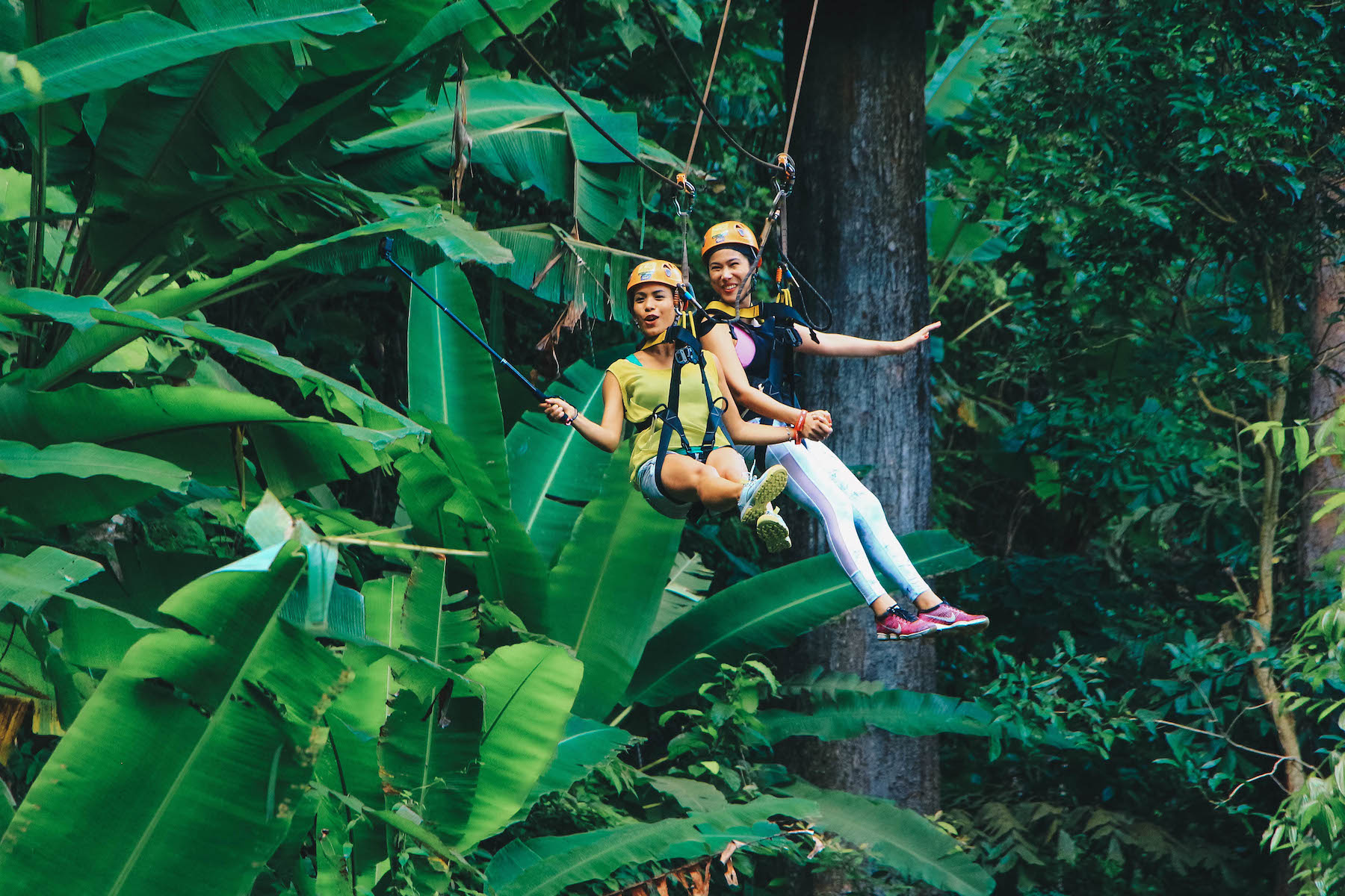 Trải nghiệm cảm giác sảng khoái và đầy kích thích với đường trượt Zipline