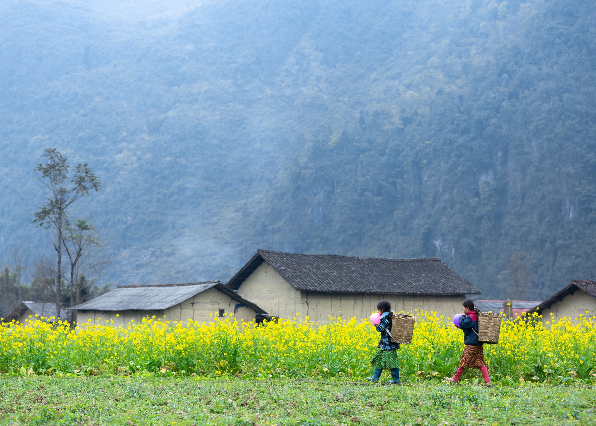 Khám phá Hà Giang