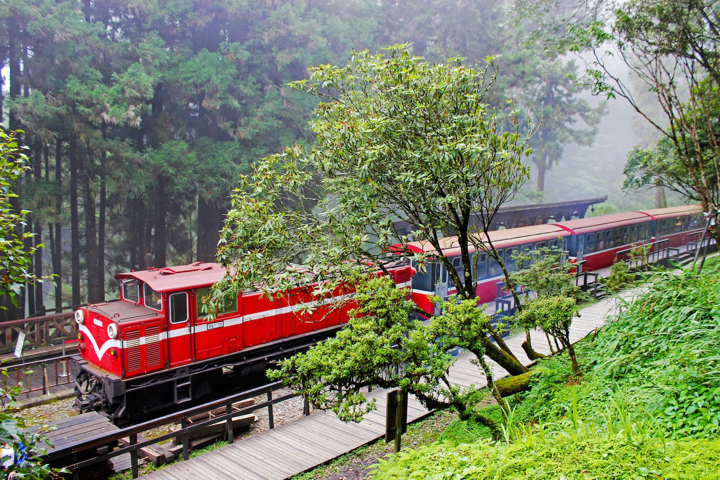 Sacred Tree Station