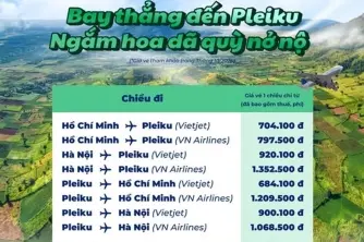 Bay thẳng Pleiku ngắm hoa dã quỳ rực rỡ trong tháng 10 vé chỉ từ 684,000đ