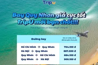 Bay Quy Nhơn chỉ từ 684.000đ chốt đi chờ chi
