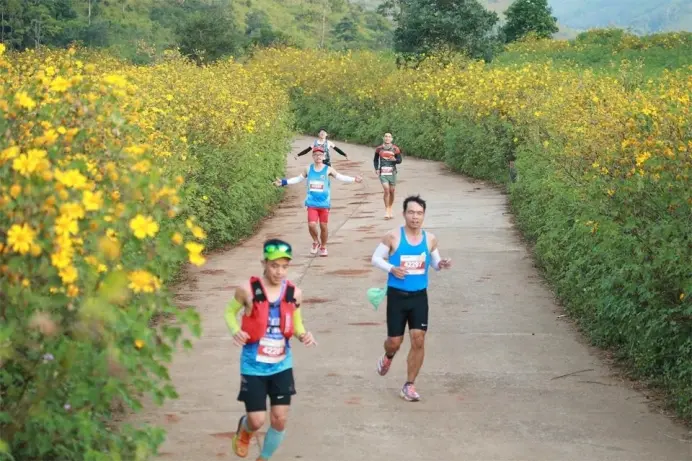 Giải chạy Gia Lai City Trail 2024 "Giấc mơ đại ngàn" giữa đường hoa dã quỳ 