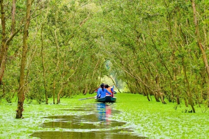 "Trà Sư" mùa nước nổi - "Mời" khách ghé An Giang