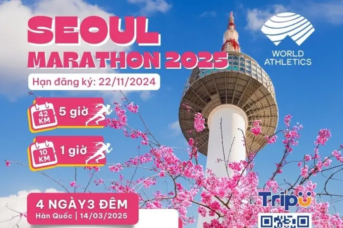 Điểm danh 7 toạ độ "xuất hiện" trên cung đường chạy 42km vào mùa xuân xứ Hàn - Seoul Marathon 2025