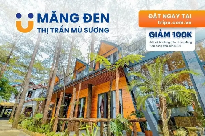 Top 4 homestay Măng Đen sở hữu vibe "chữa lành" nhất