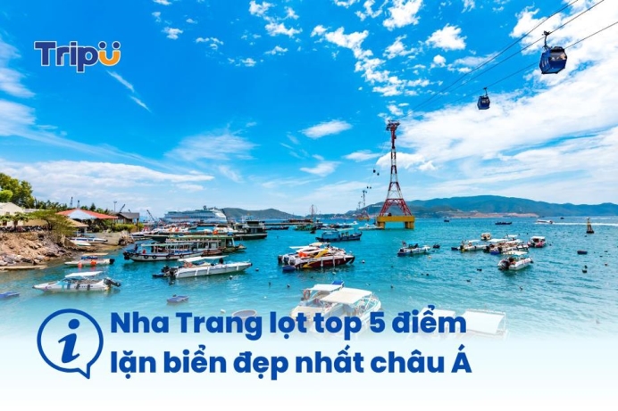 Tự hào Việt Nam: Nha Trang nằm trong top 5 điểm lặn biển đẹp nhất Châu Á