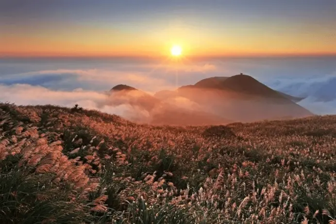Công viên Dương Minh Sơn: Thiên đường hoa và suối nước nóng